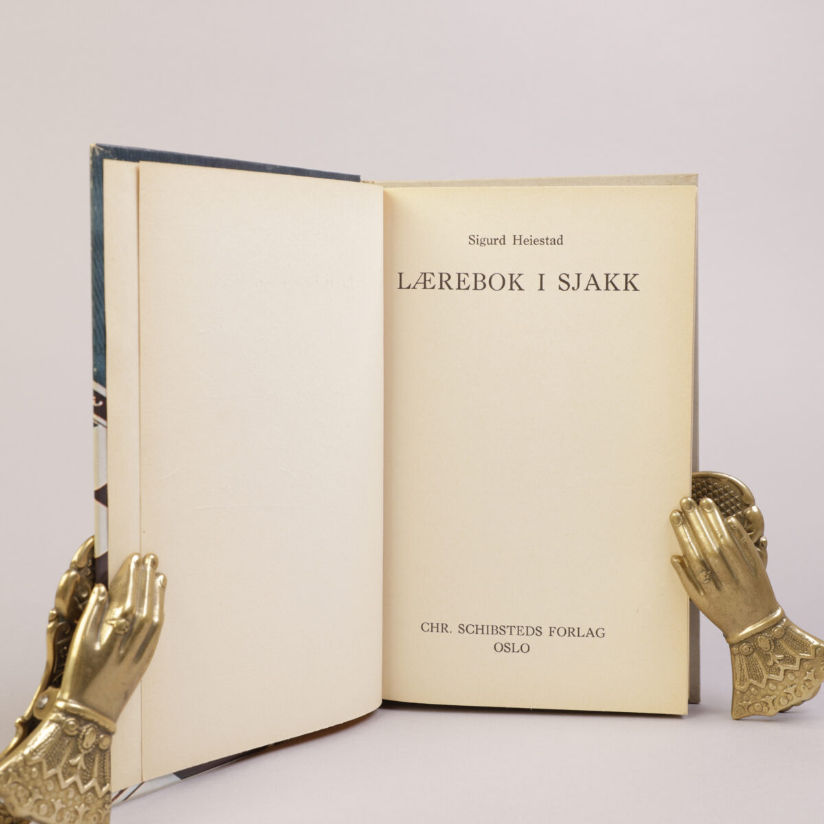18) ANDRÉ BJERKE – SJAKK - Bilde 7