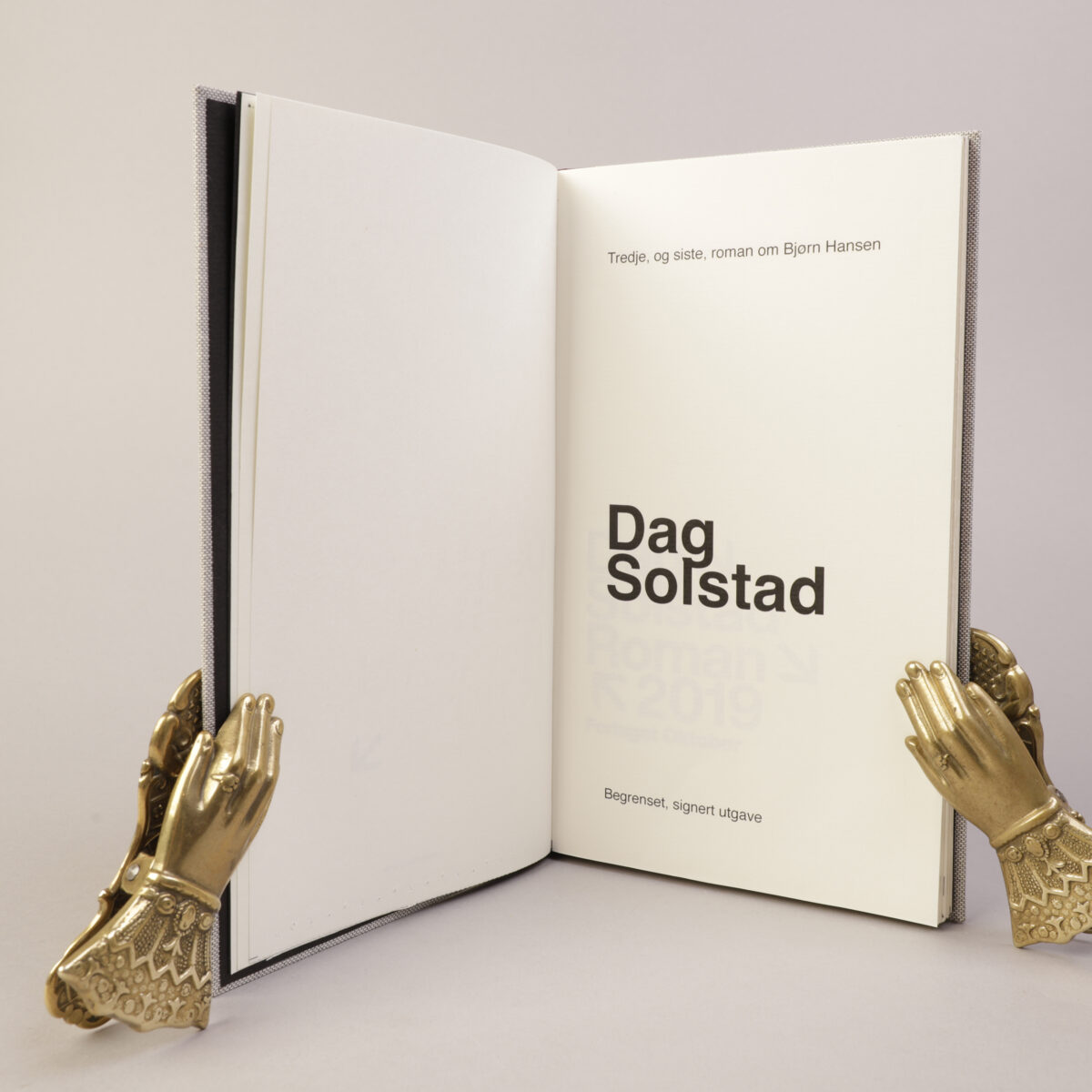 180) DAG SOLSTAD | 11 - Bilde 2