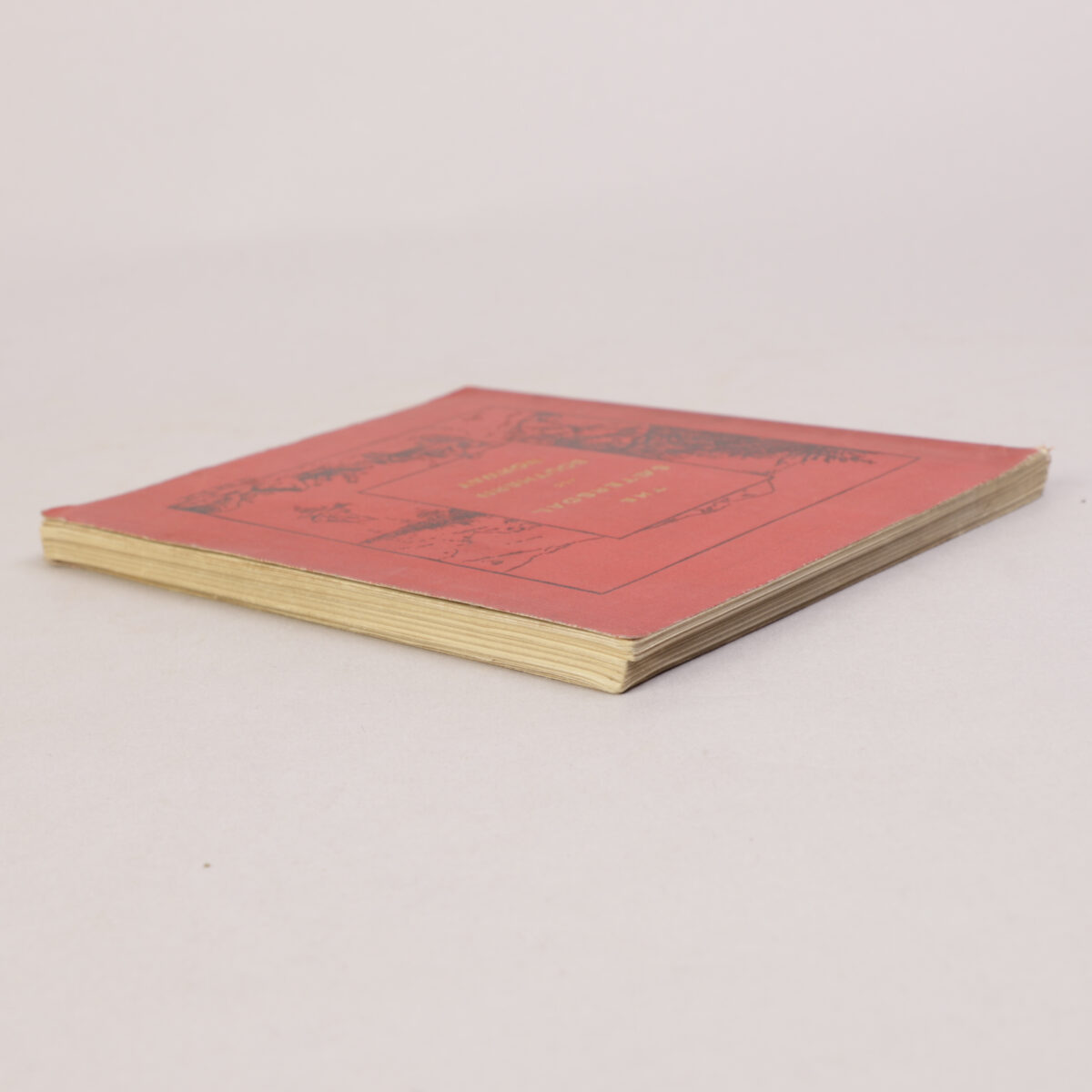 56) Alice Ogilvie - Bilde 7