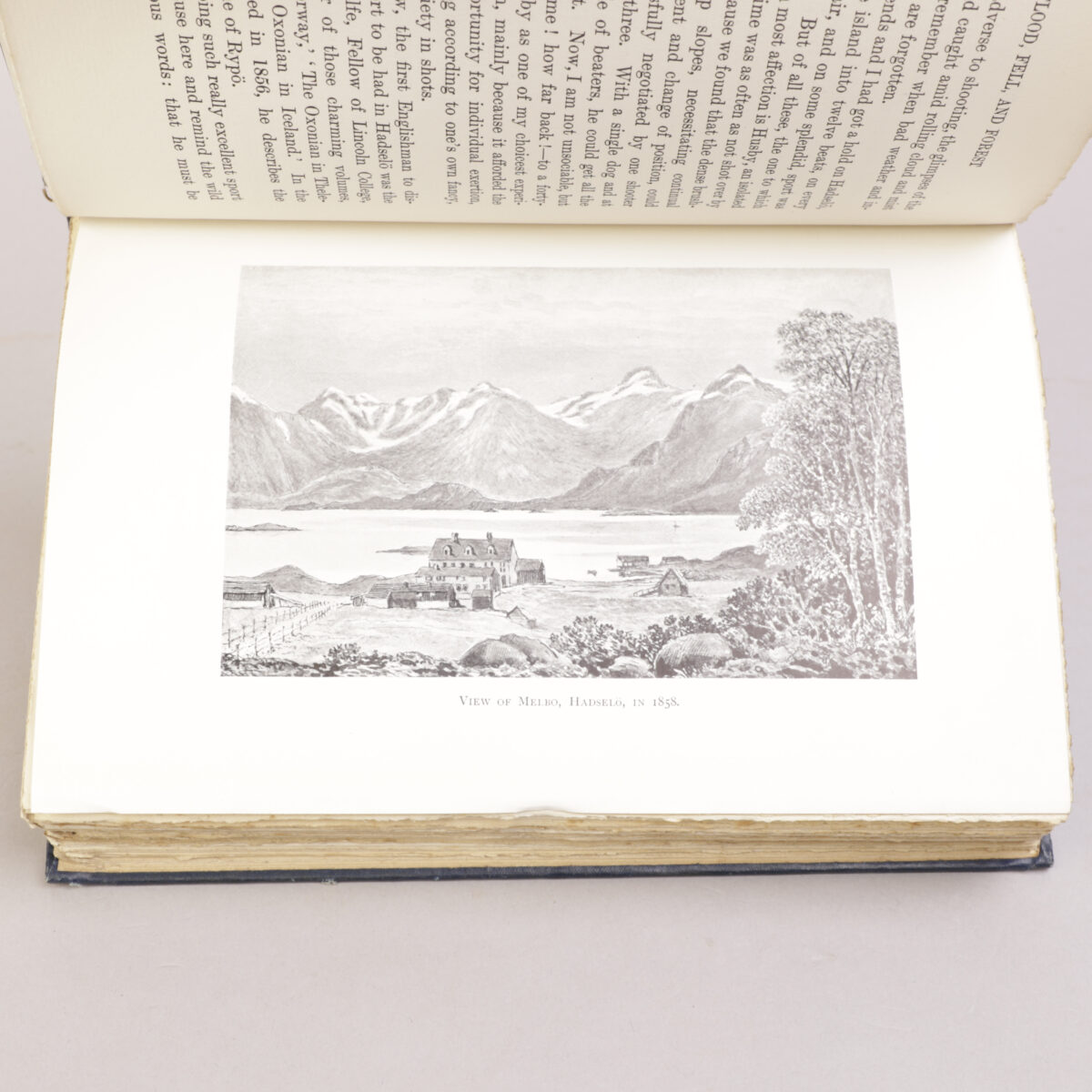 61) Sir Henry Pottinger - Bilde 5
