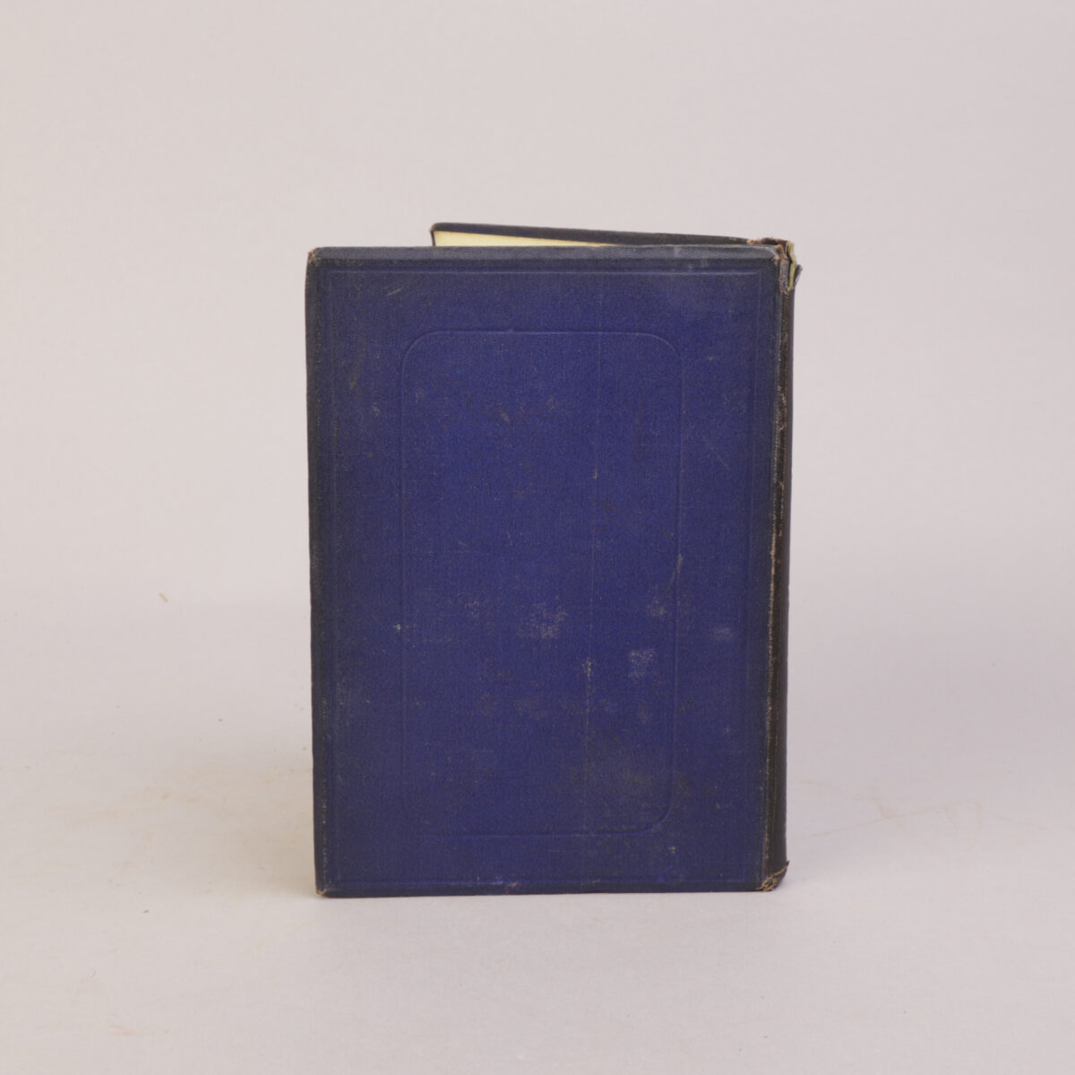 20)  n.a.(Maria Frances Dickson) - Bilde 5