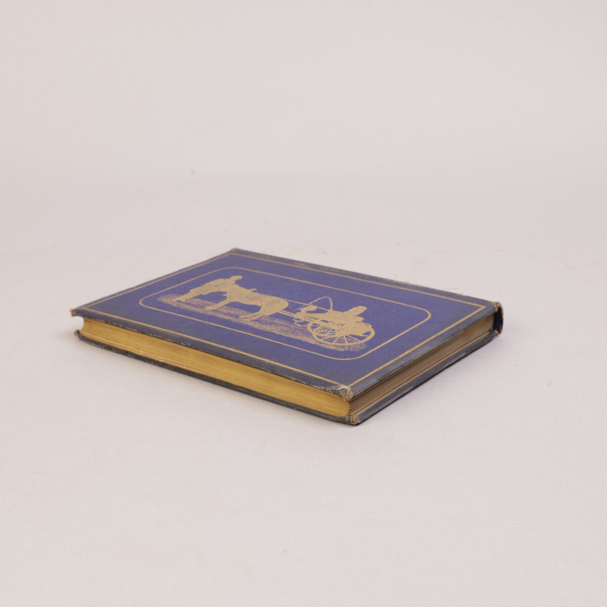 20)  n.a.(Maria Frances Dickson) - Bilde 4