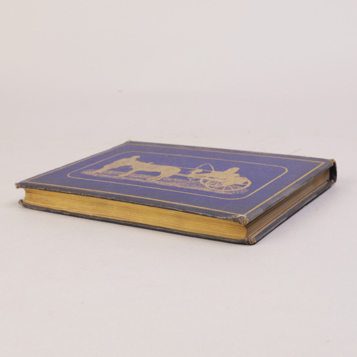 20)  n.a.(Maria Frances Dickson) - Bilde 7