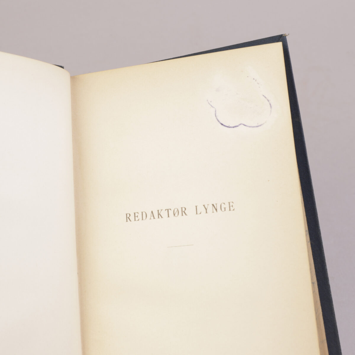 9) KNUT HAMSUN | 8 - Bilde 3