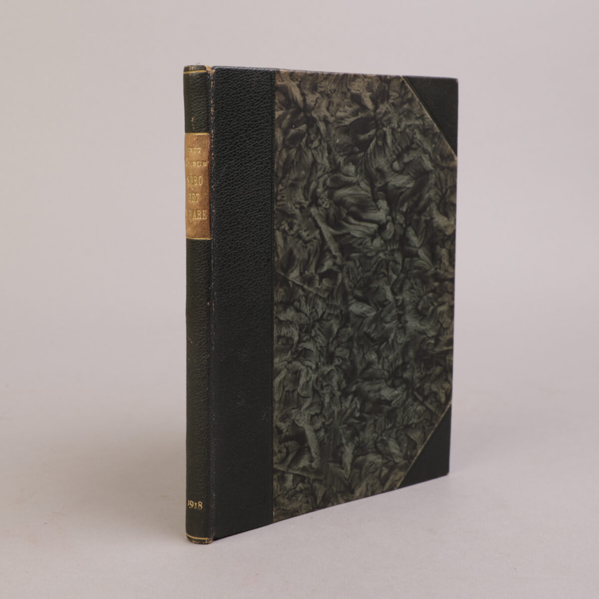 26) KNUT HAMSUN | 25 - Bilde 4