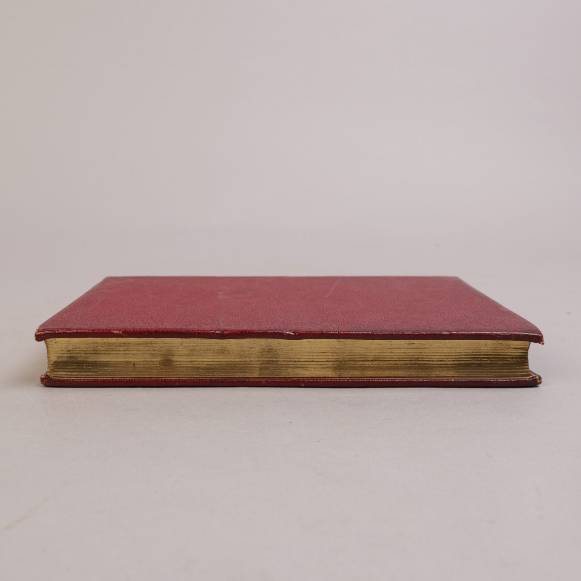 211) POLAR REISER & OPPDAGELSE | 16 - Bilde 7