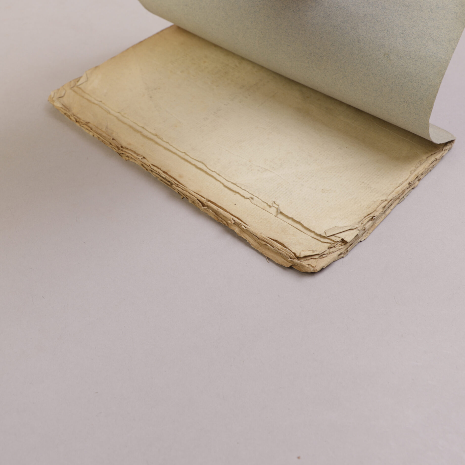 239) HENRIK WERGELAND | 1 - Bilde 5