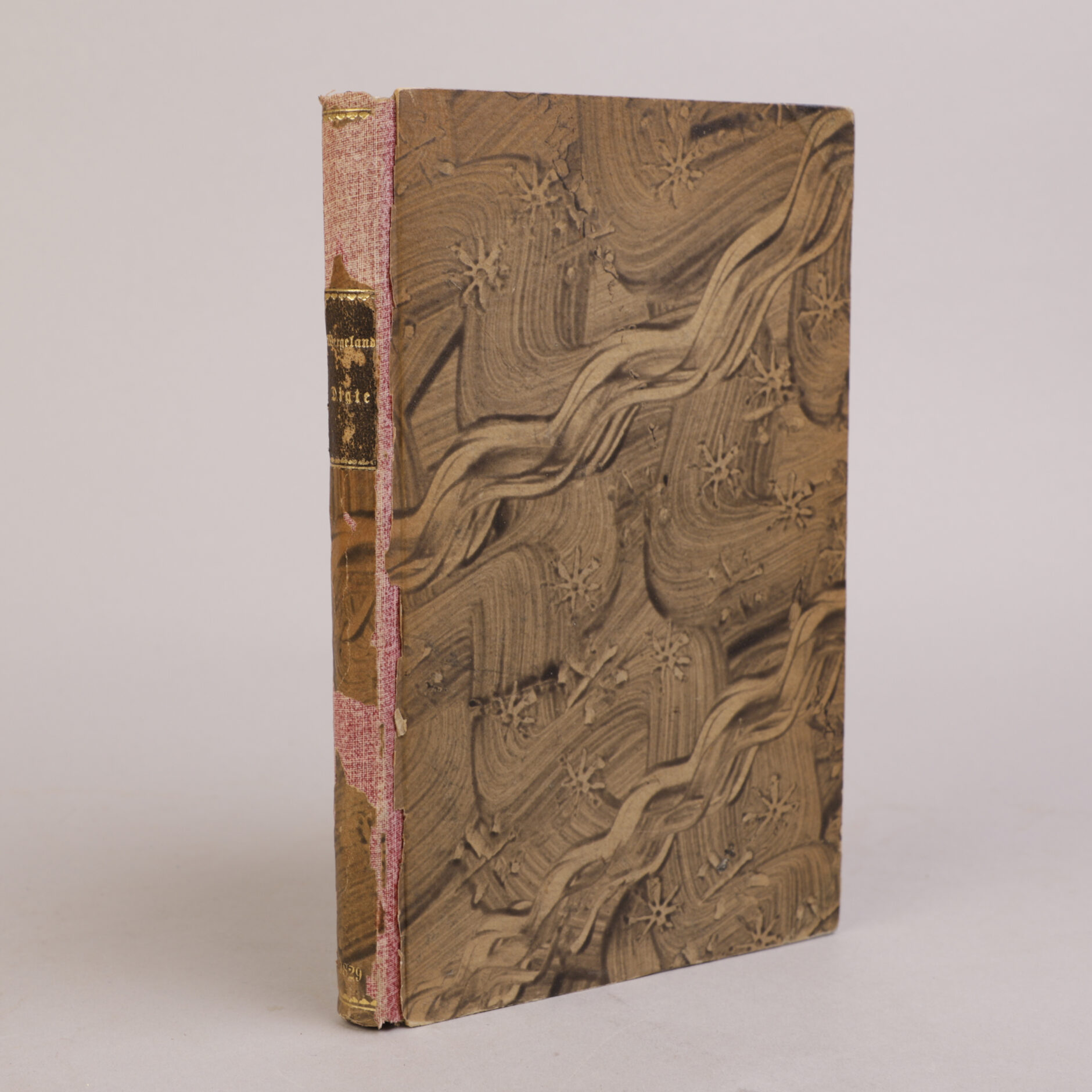 243) HENRIK WERGELAND | 5 - Bilde 5