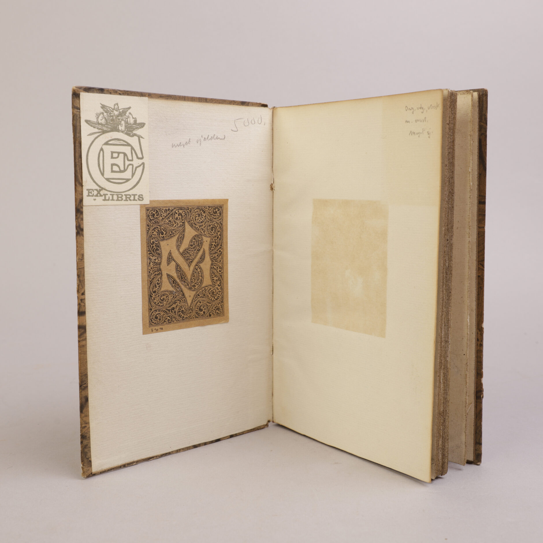 243) HENRIK WERGELAND | 5 - Bilde 4