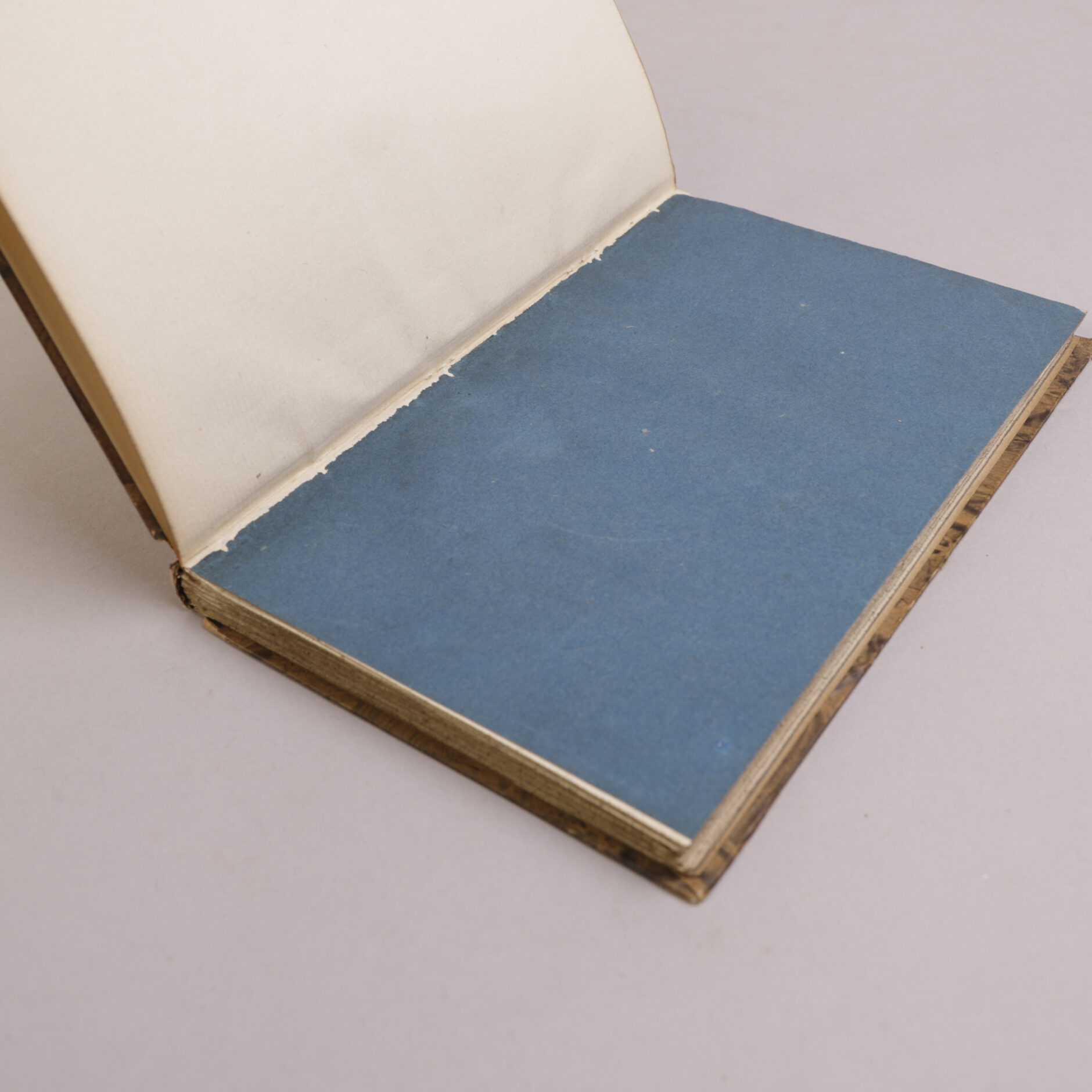 243) HENRIK WERGELAND | 5 - Bilde 2