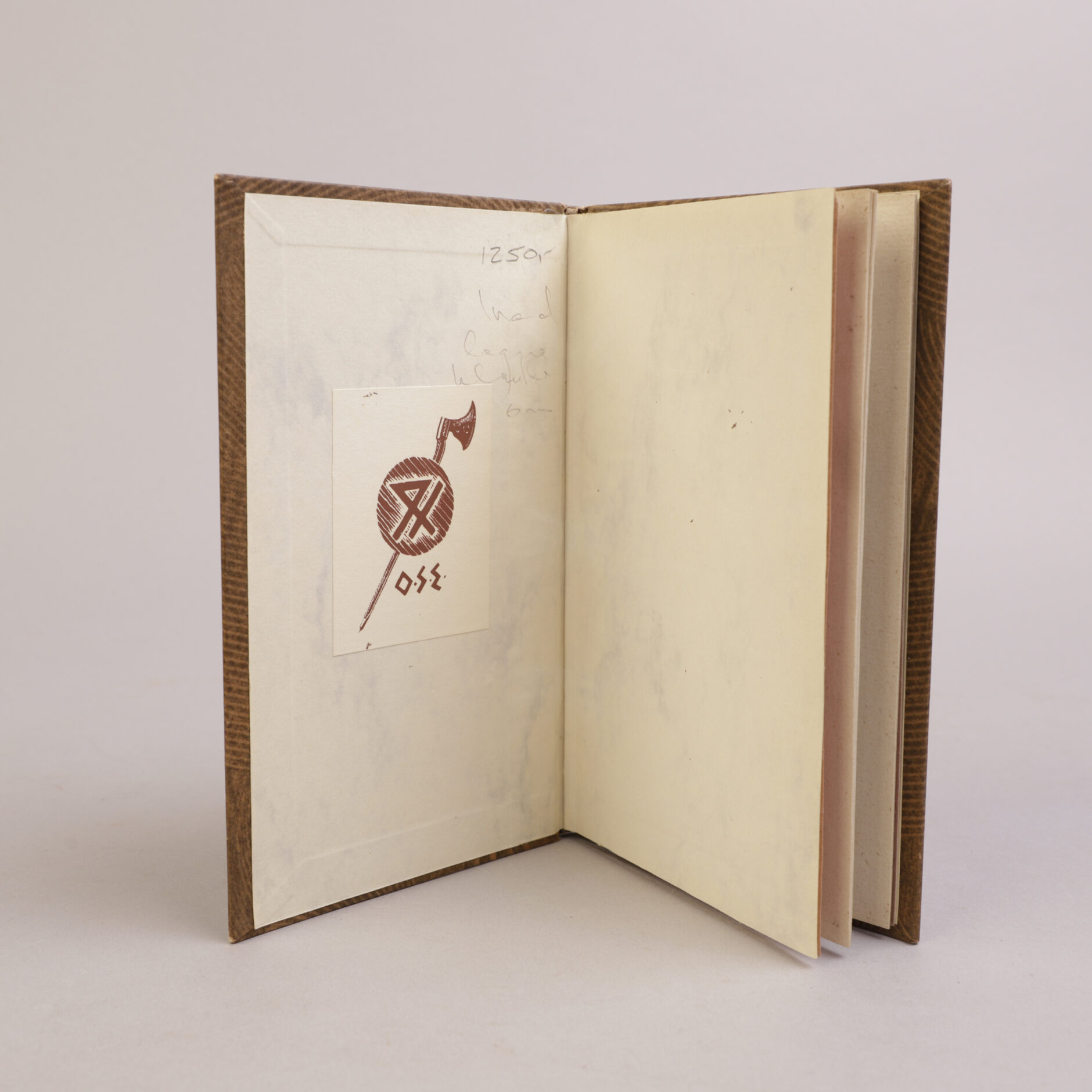 249) HENRIK WERGELAND | 11 - Bilde 4