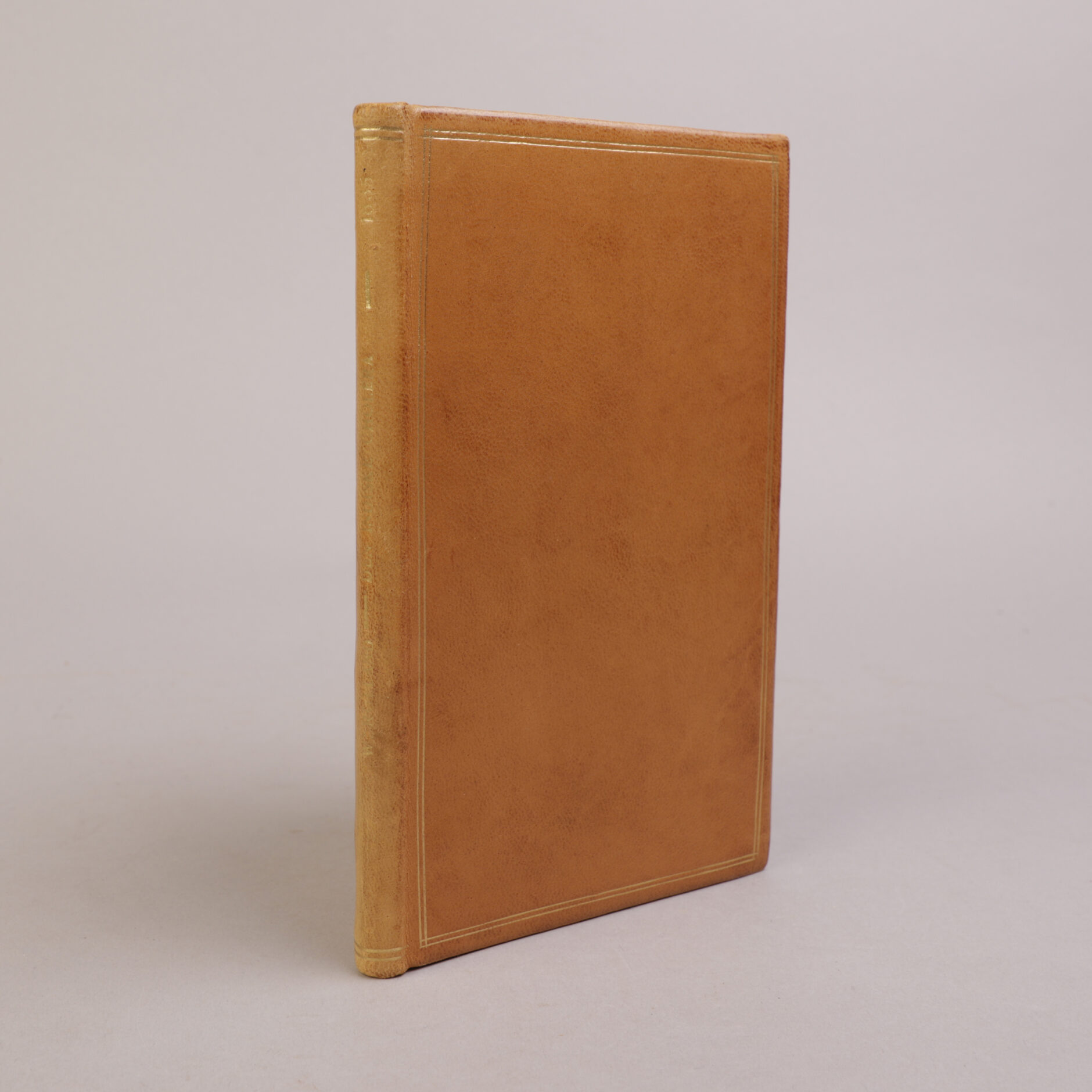 250) HENRIK WERGELAND | 12 - Bilde 4