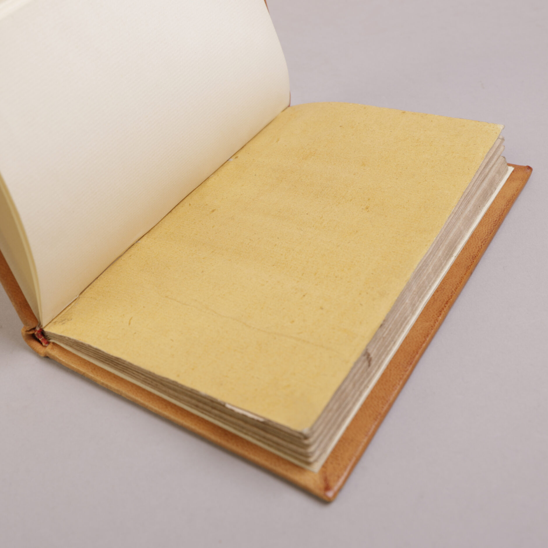 250) HENRIK WERGELAND | 12 - Bilde 3