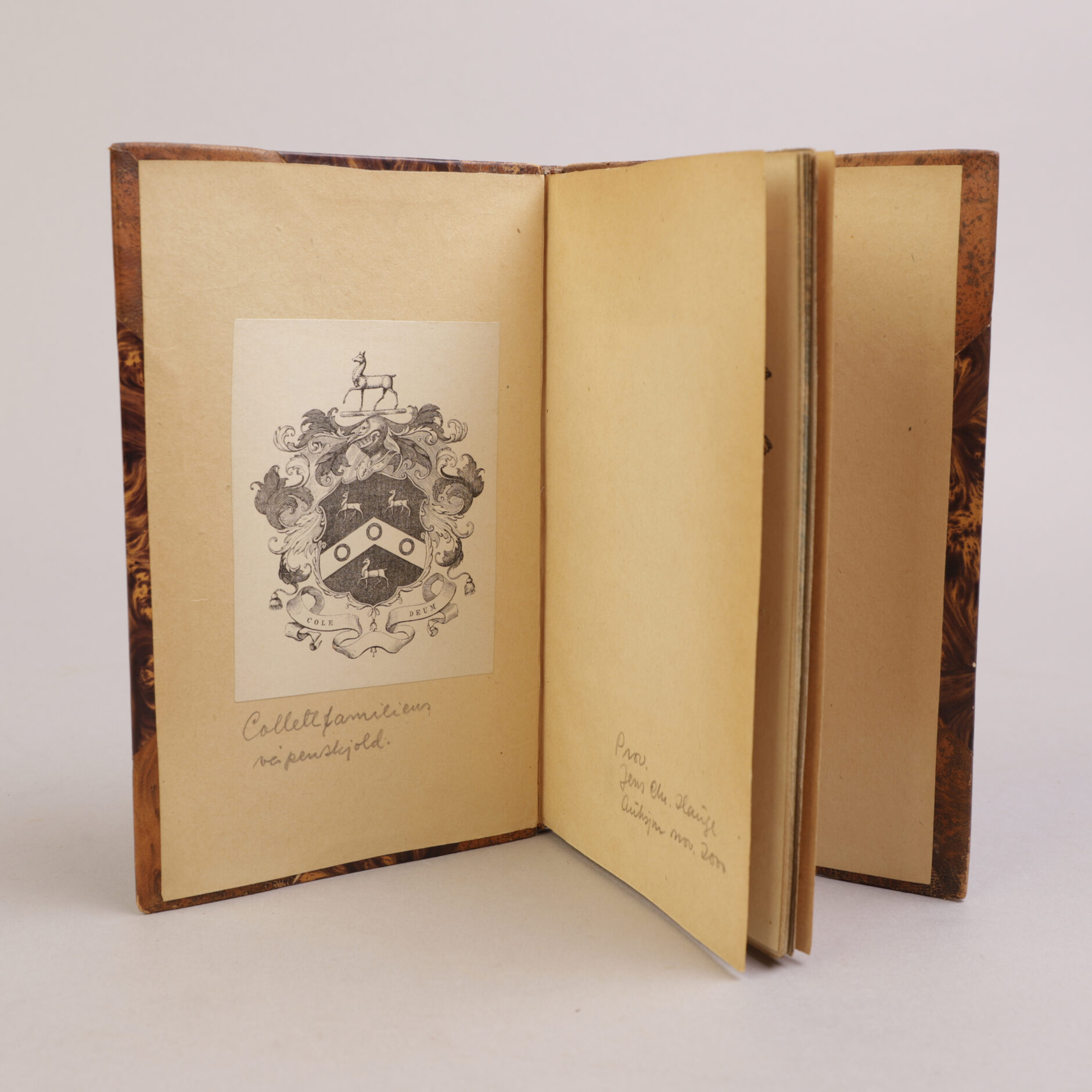 251) HENRIK WERGELAND | 13 - Bilde 2