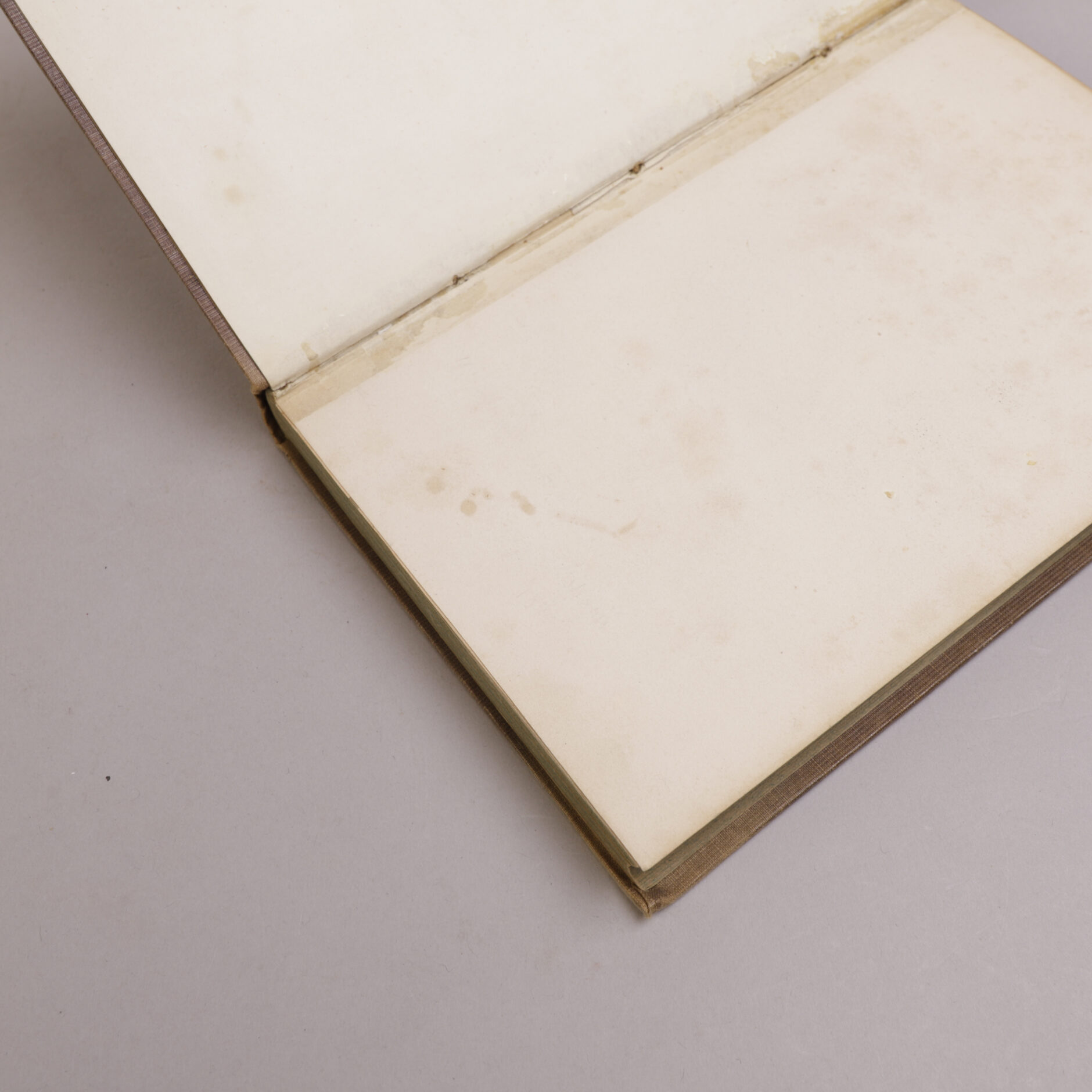 262) HENRIK WERGELAND | 24 - Bilde 7