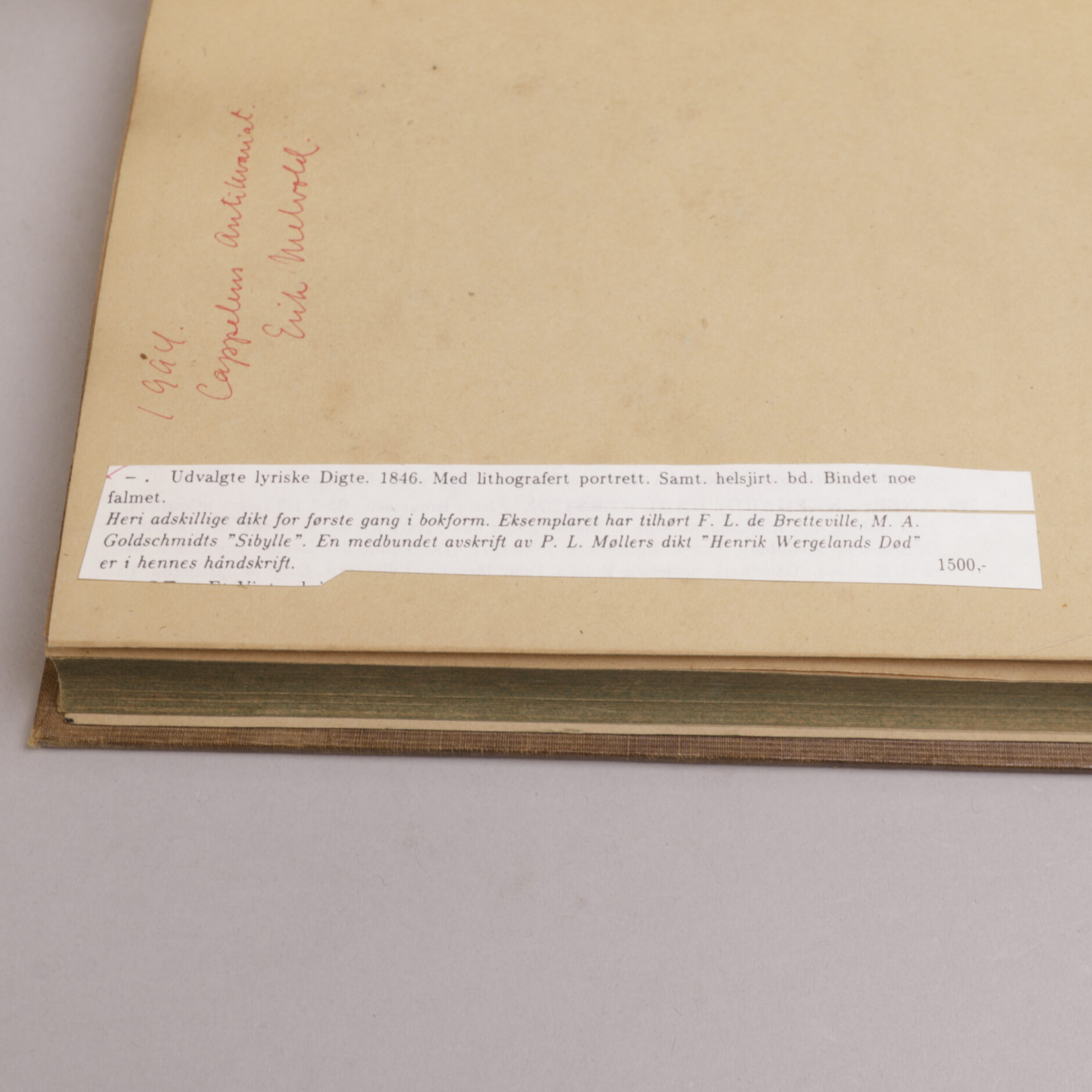 262) HENRIK WERGELAND | 24 - Bilde 5