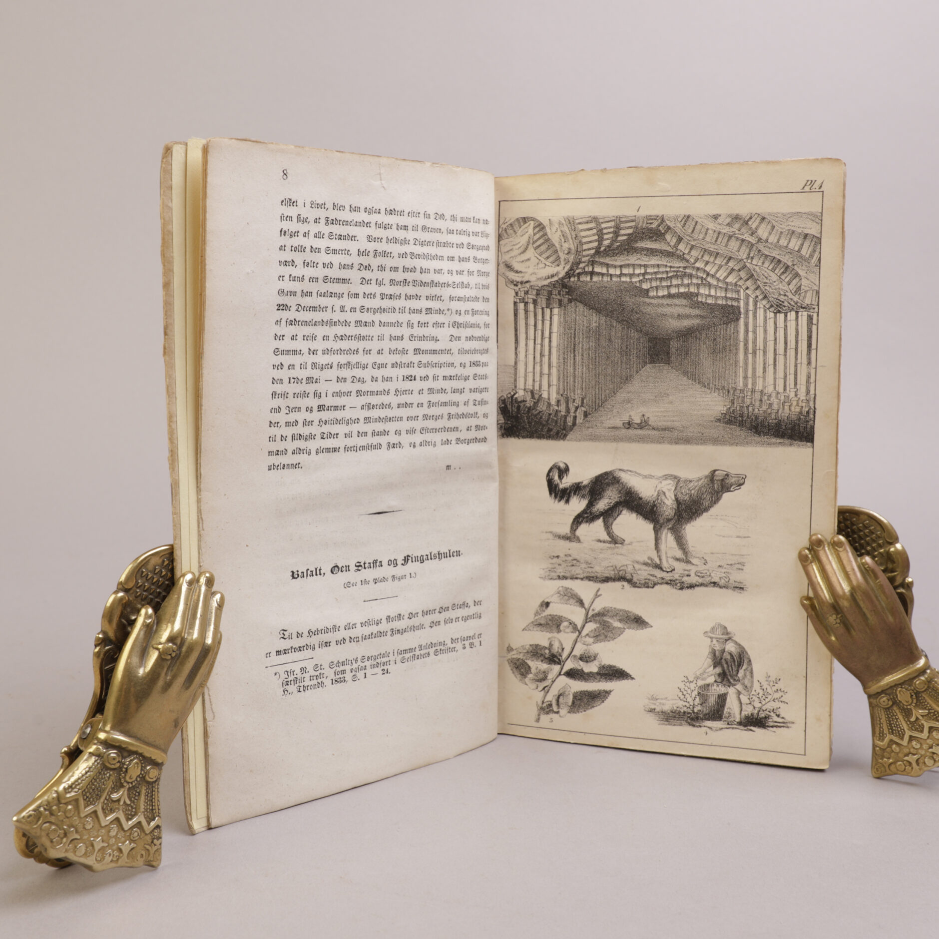 263) HENRIK WERGELAND | 25 - Bilde 2