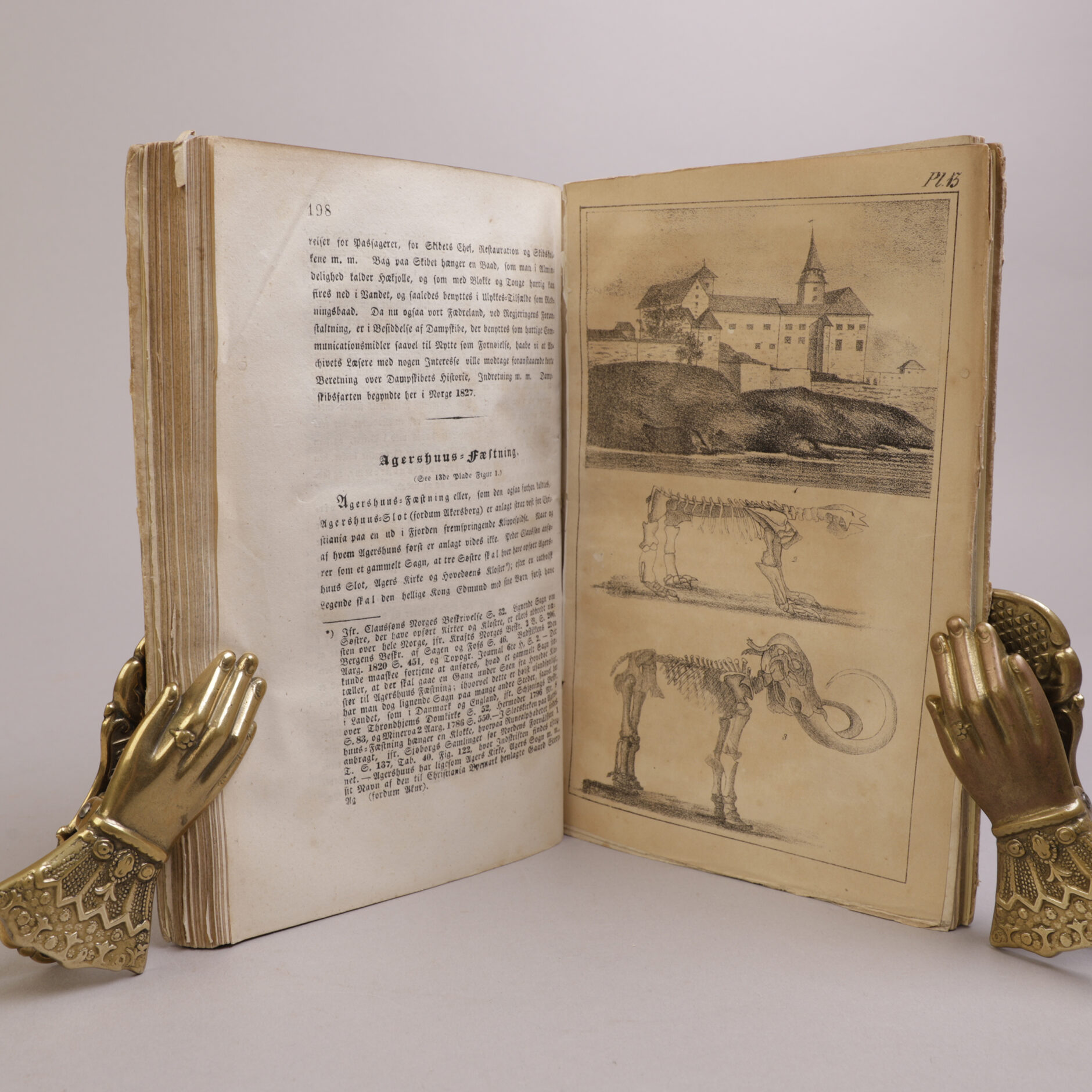 263) HENRIK WERGELAND | 25 - Bilde 4