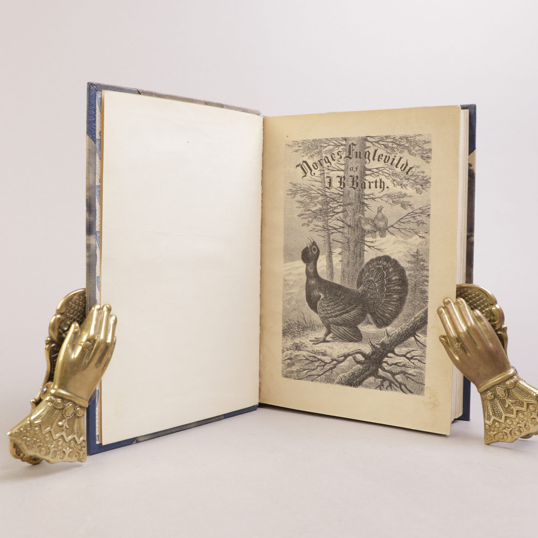 170) JAKT & FRILUFTSLIV | 3 - Bilde 2