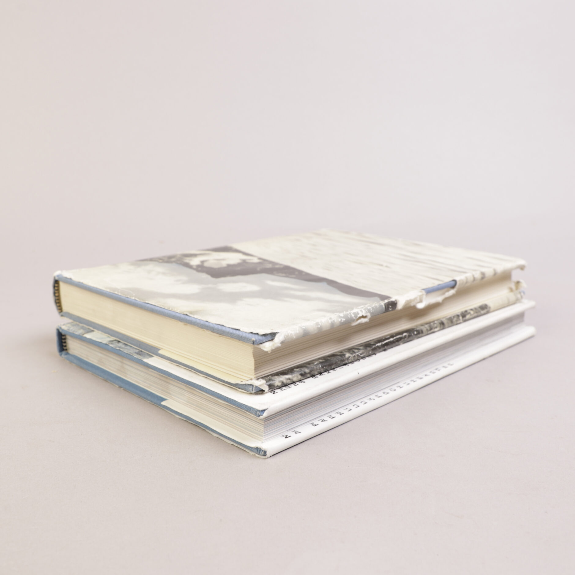 175) JAKT & FRILUFTSLIV | 8 - Bilde 10