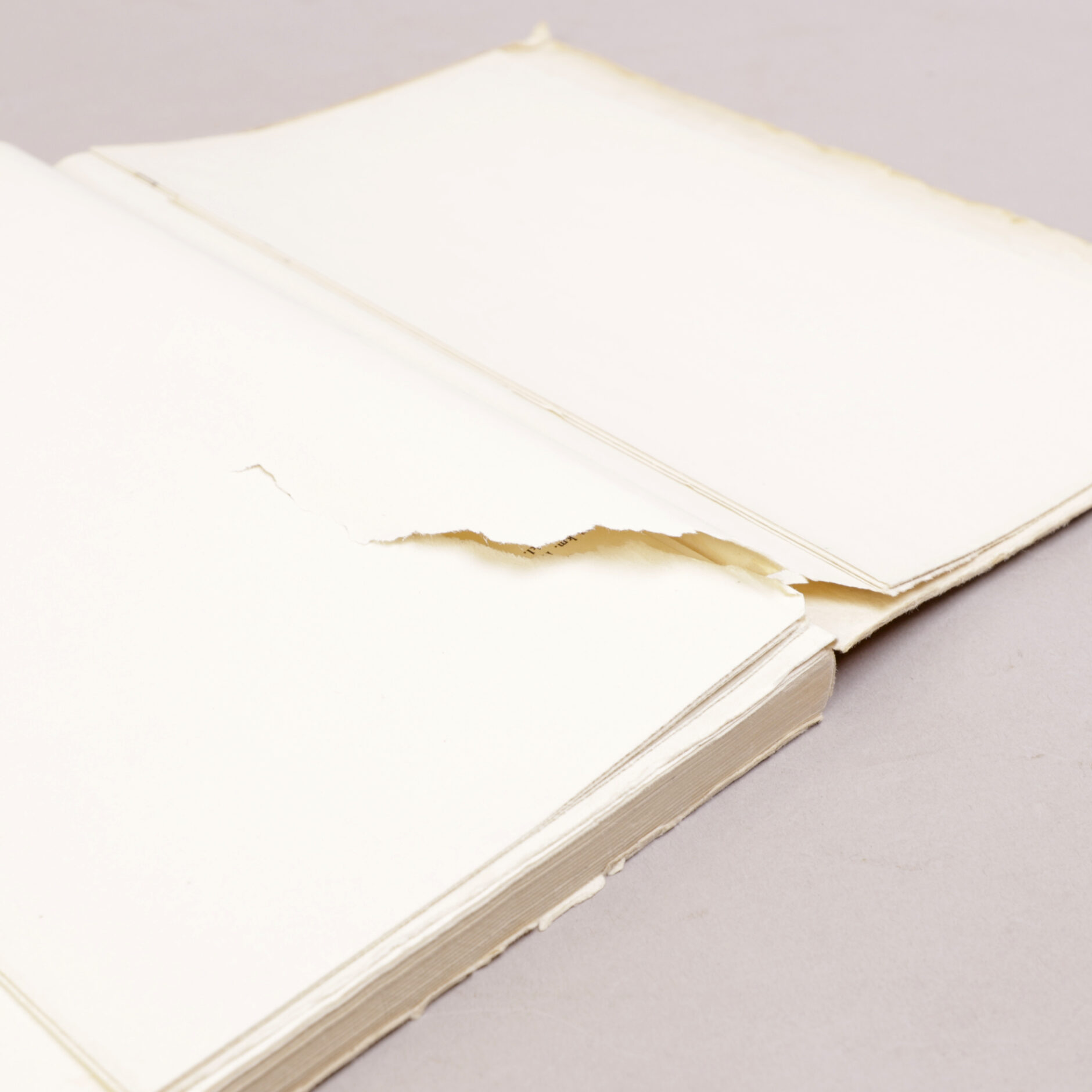 178) JAKT & FRILUFTSLIV | 11 - Bilde 8