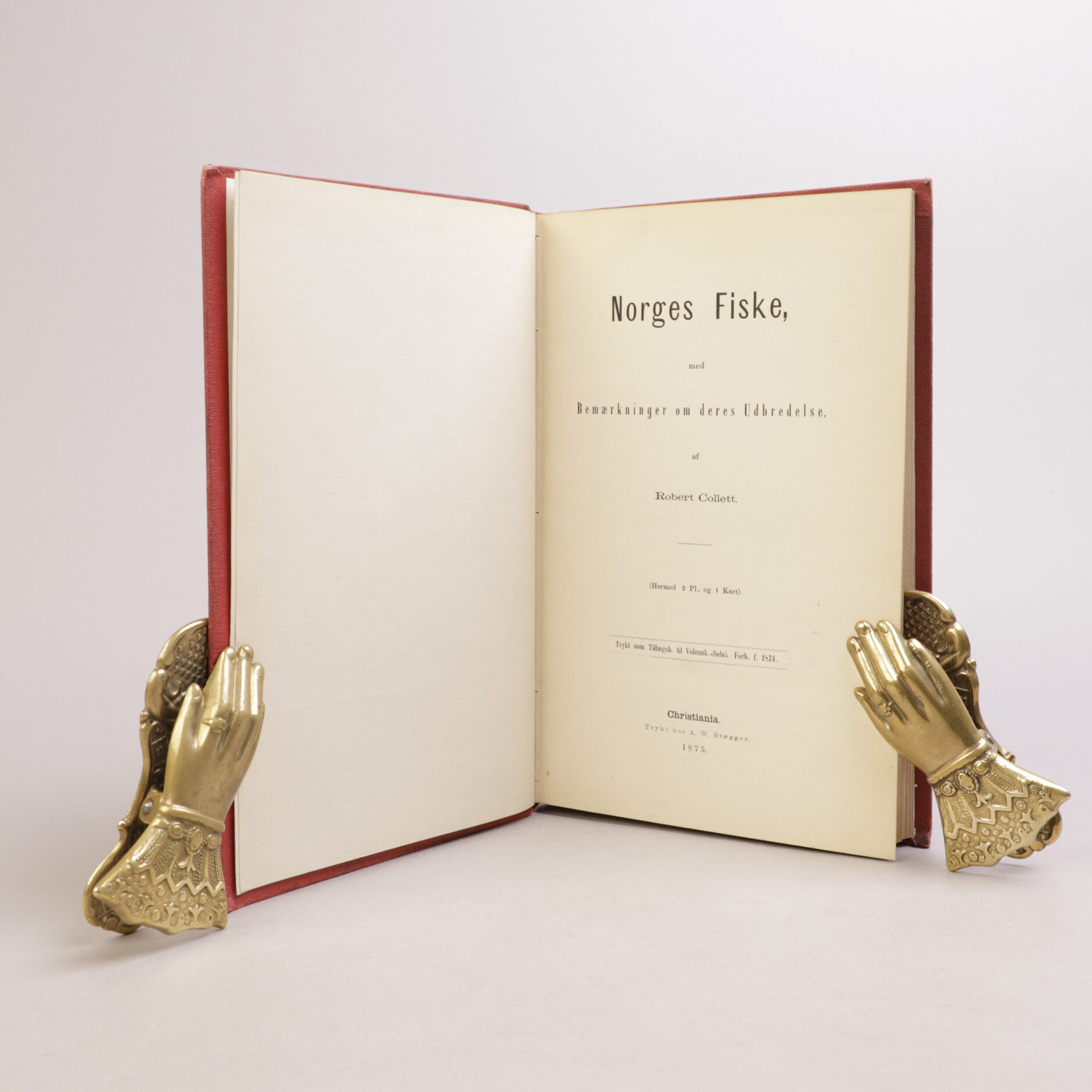 226) NATURHISTORIE - Bilde 2