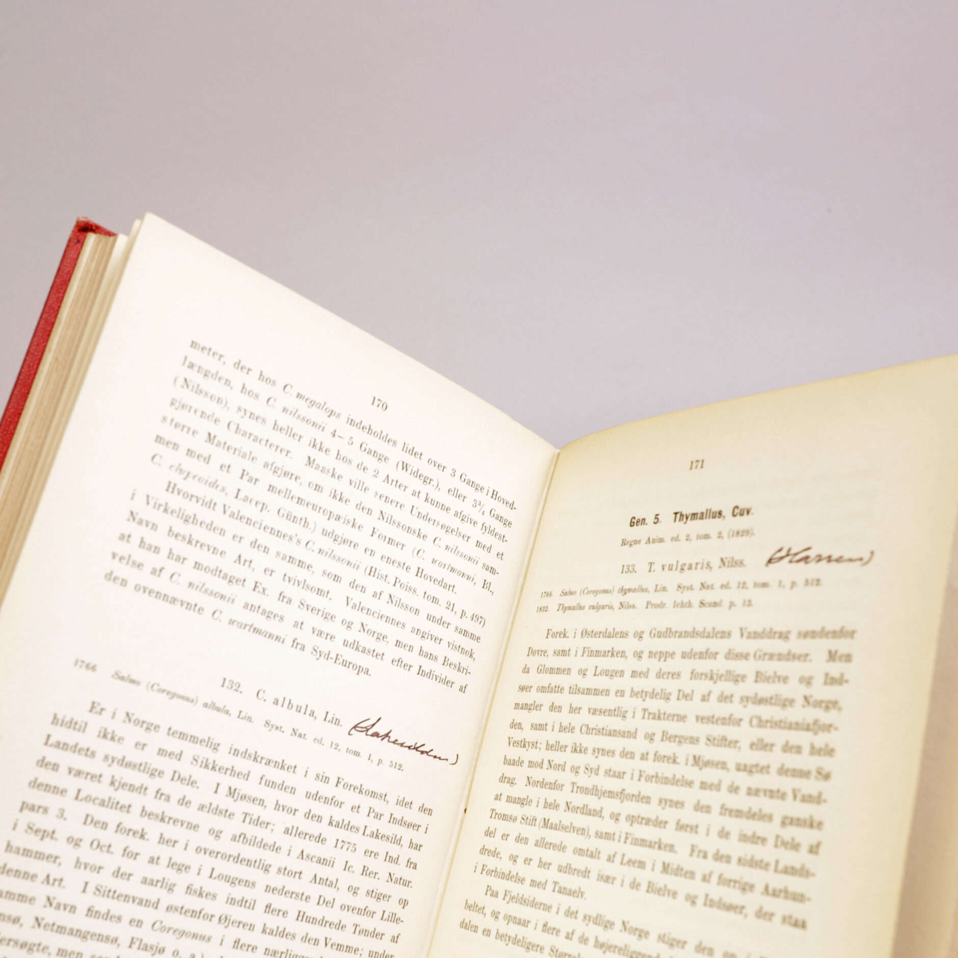 226) NATURHISTORIE - Bilde 6