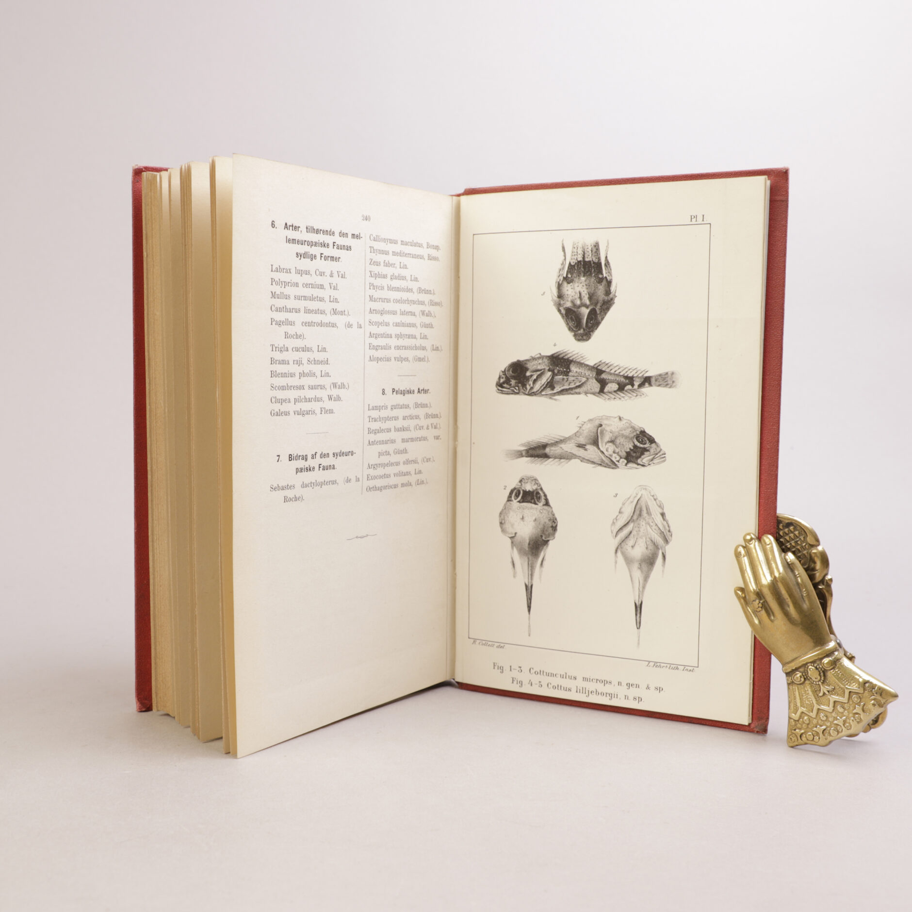 226) NATURHISTORIE - Bilde 3