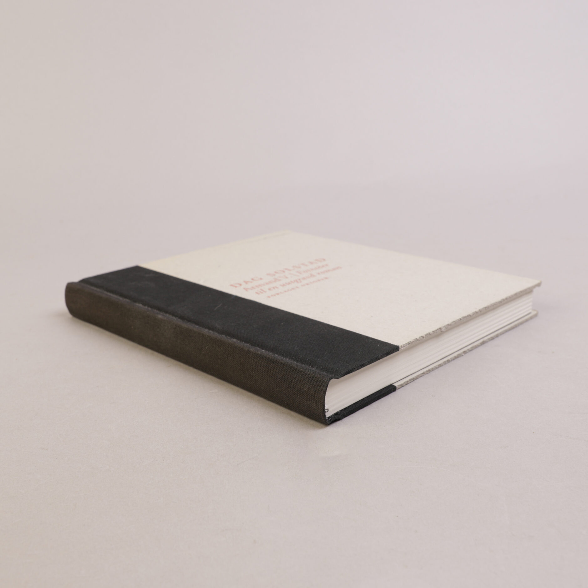 264) DAG SOLSTAD | 2 - Bilde 4