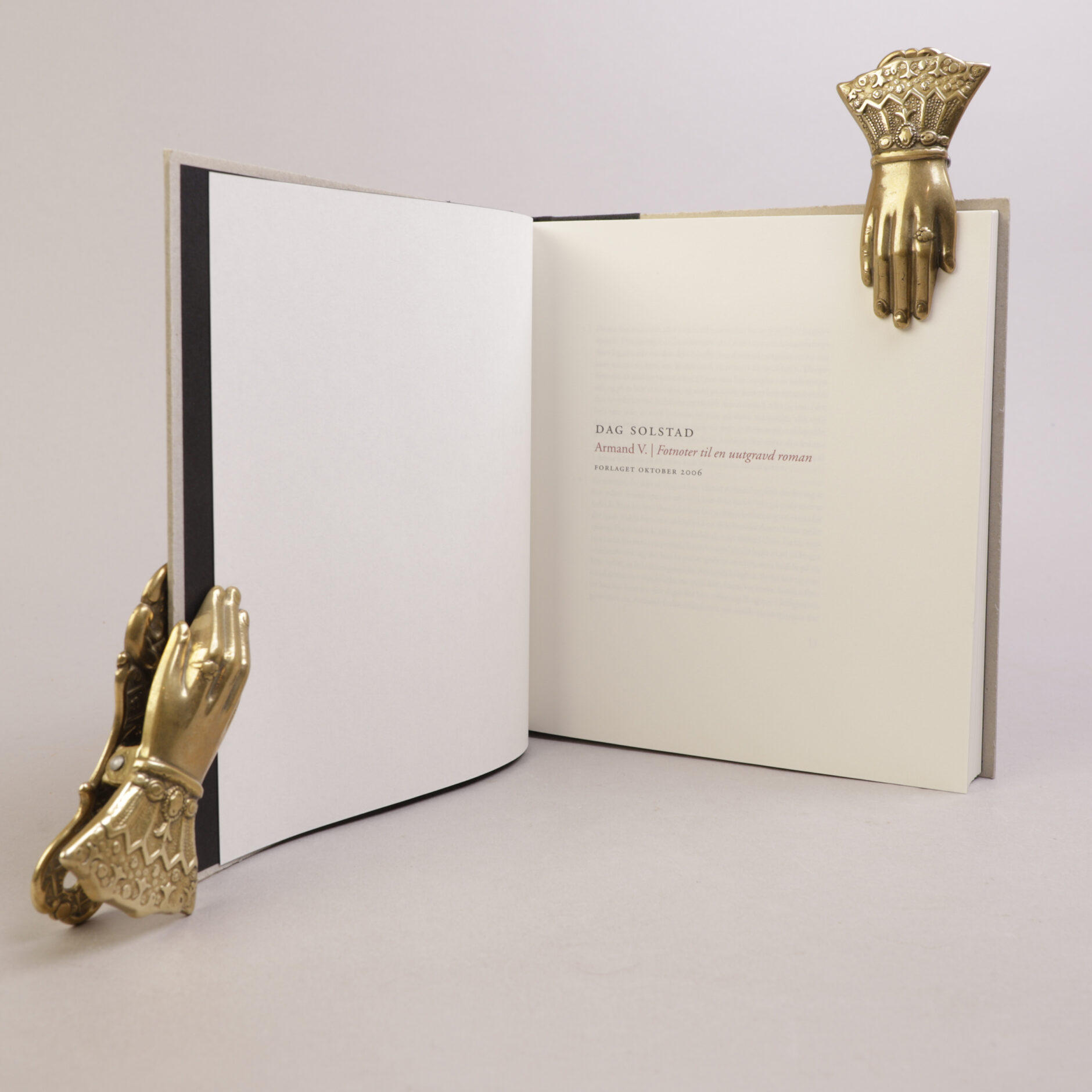 264) DAG SOLSTAD | 2 - Bilde 3