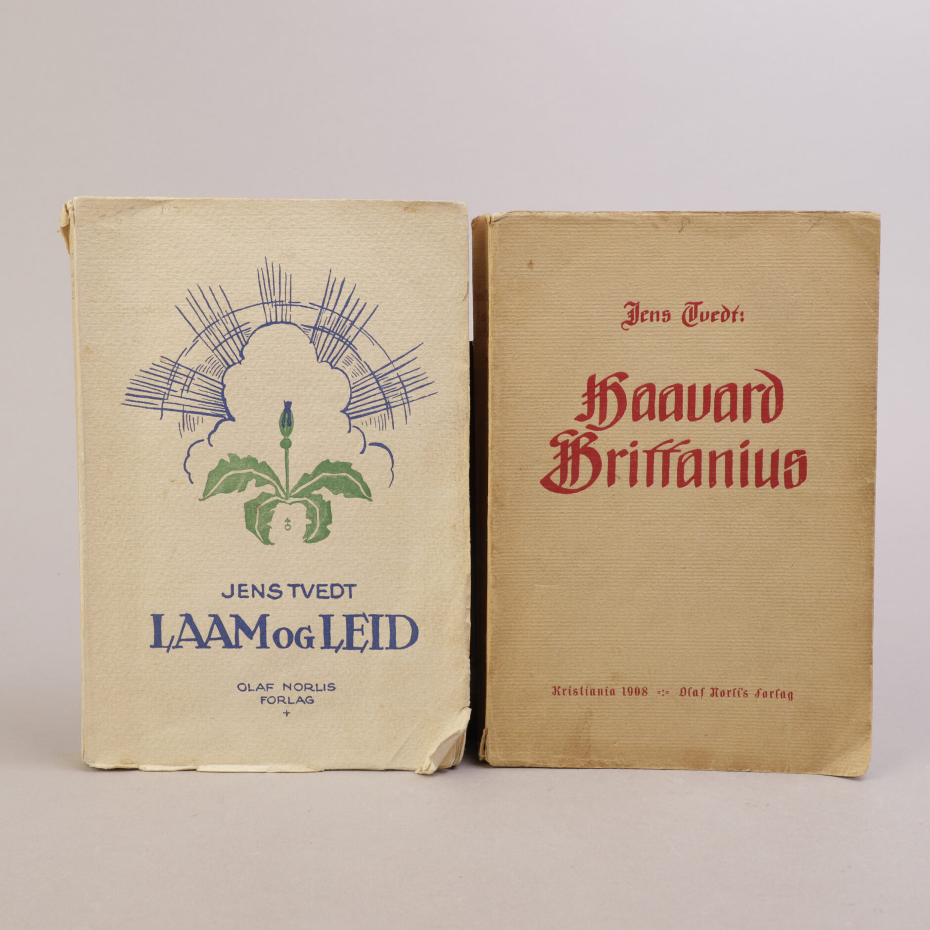 272) JENS TVEDT - Bilde 4