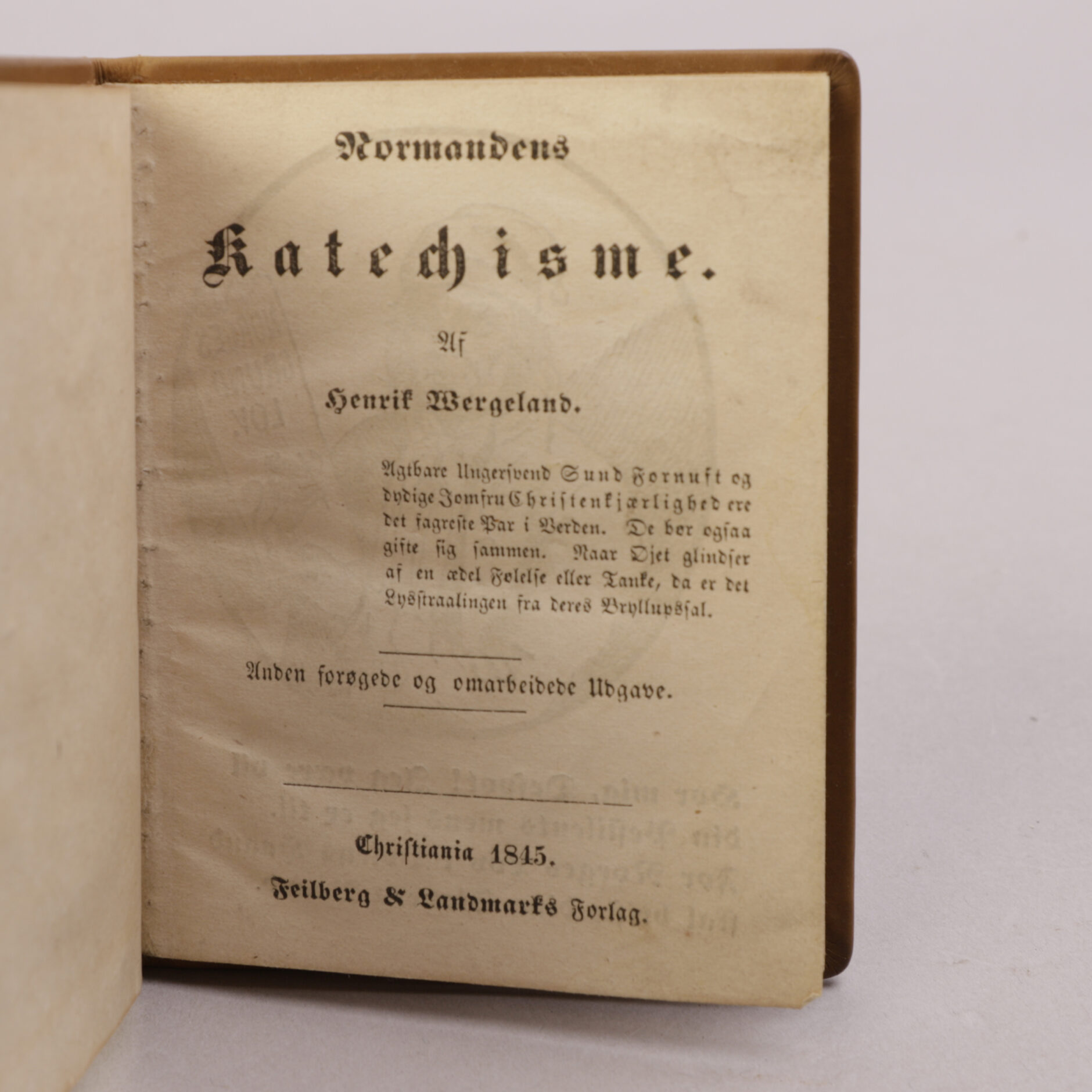 282) HENRIK WERGELAND | 2 - Bilde 3