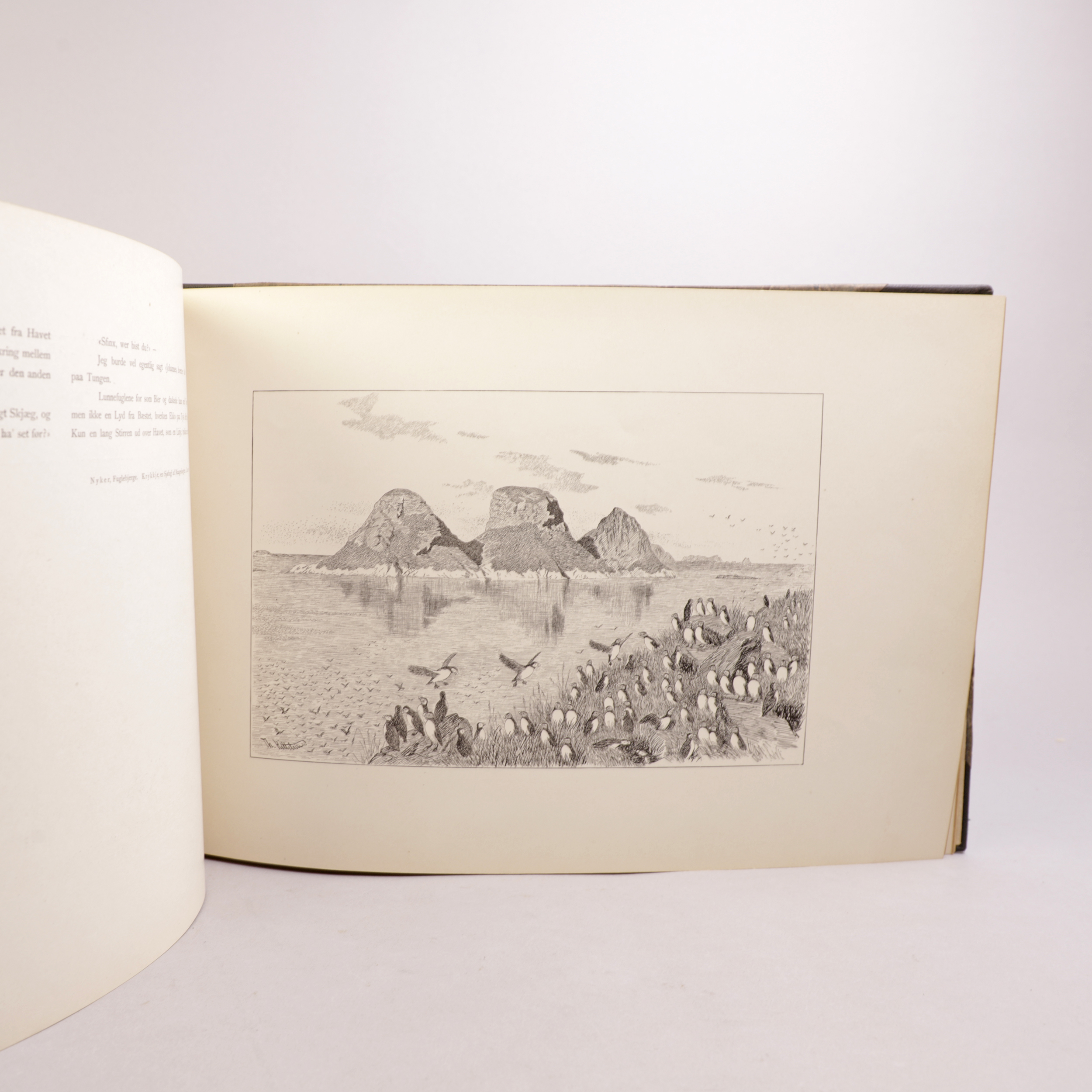 21) SUNDSETH nr. 18+23 - Bilde 6