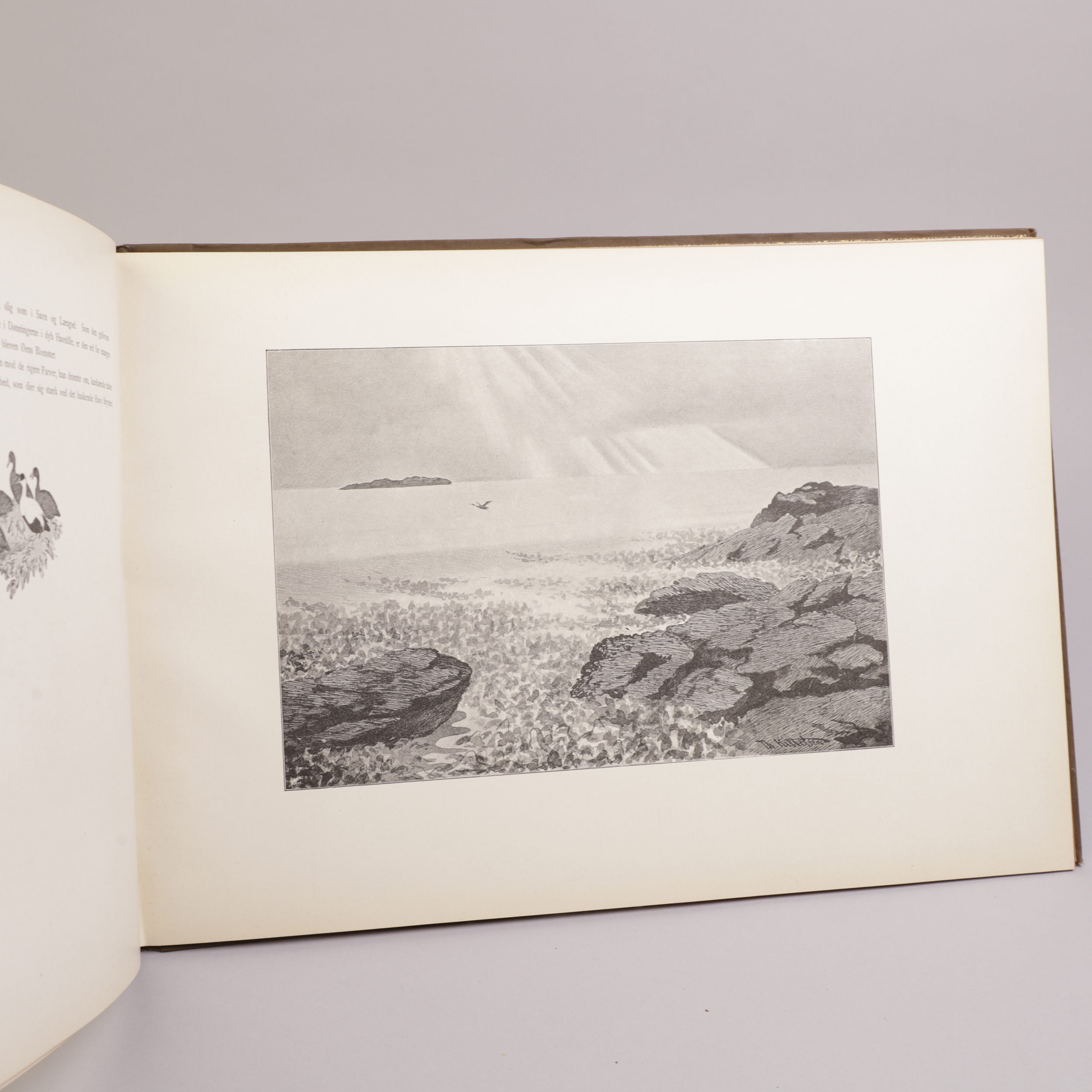 19) SUNDSETH nr. 23 - Bilde 7