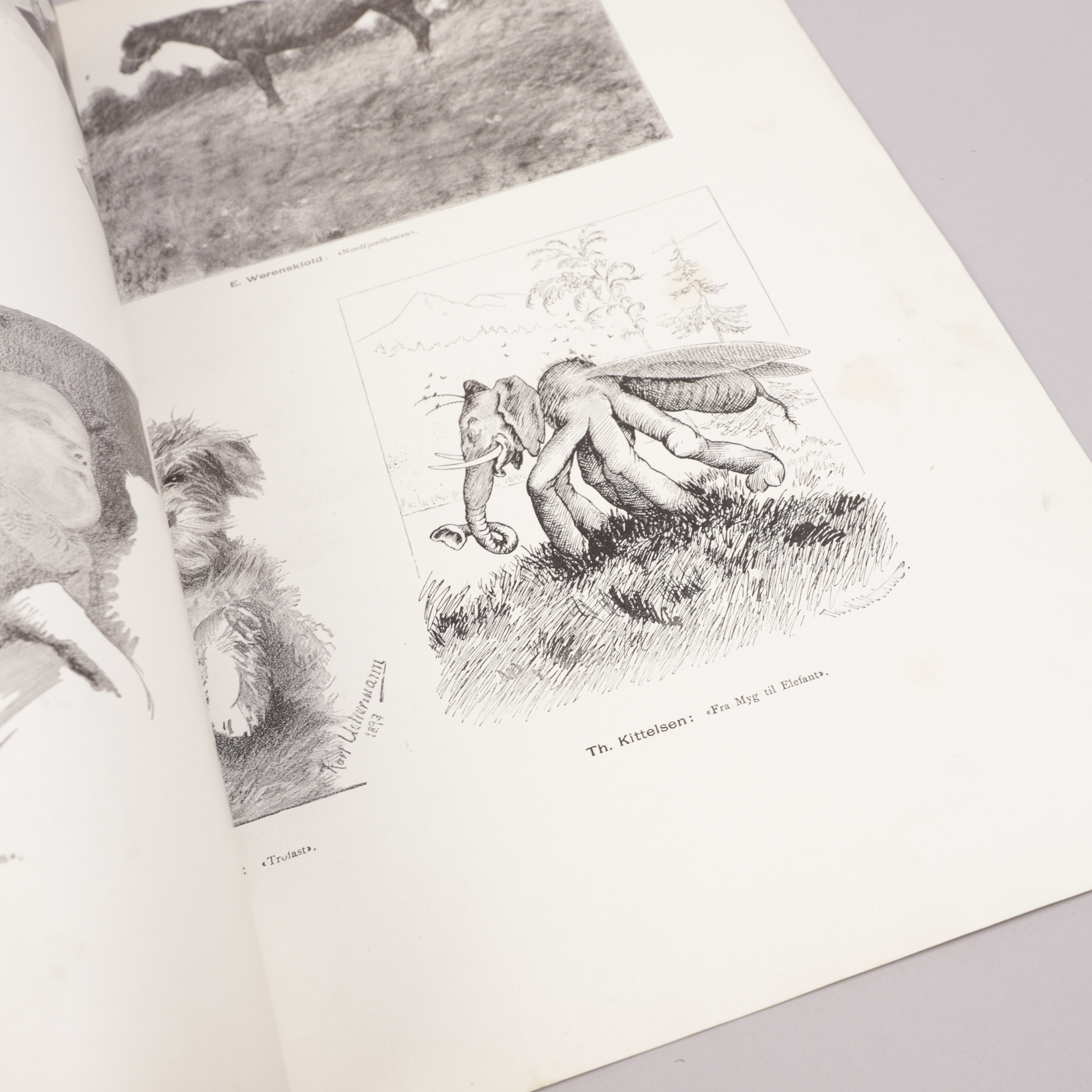 51) SUNDSETH nr. 54 - Bilde 4