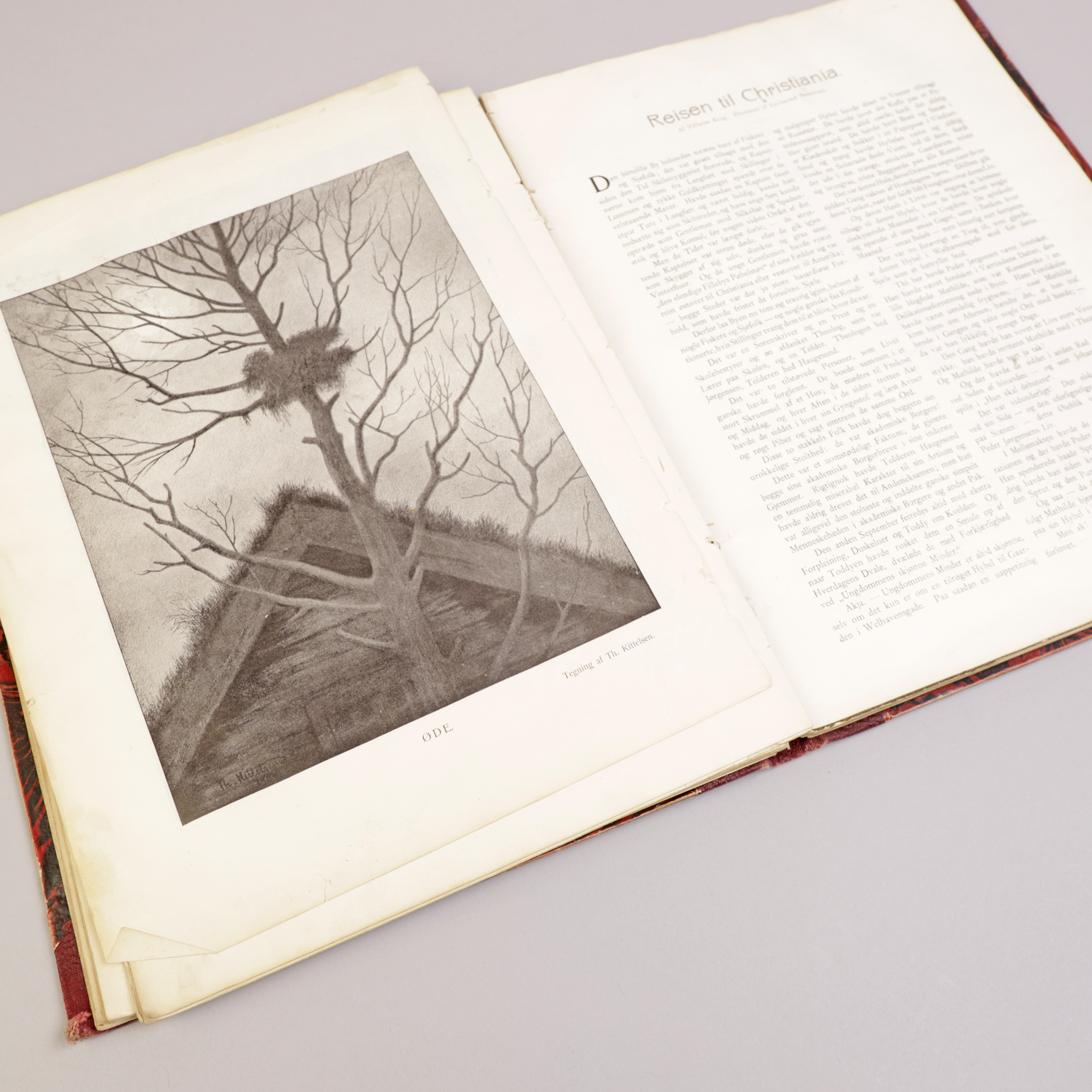 82) SUNDSETH nr. 95 + 103 - Bilde 4