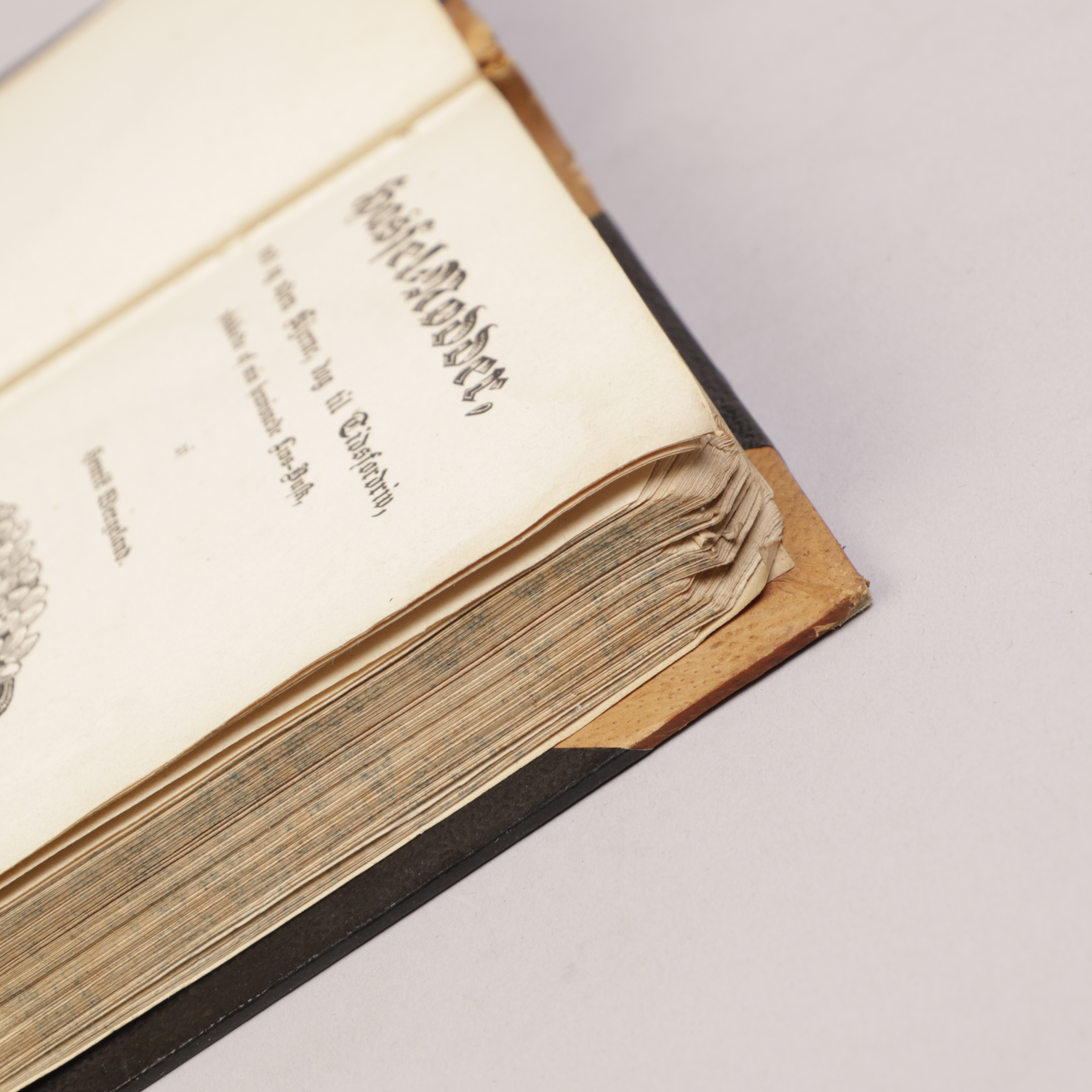 182) WERGELANDIANA - Bilde 5