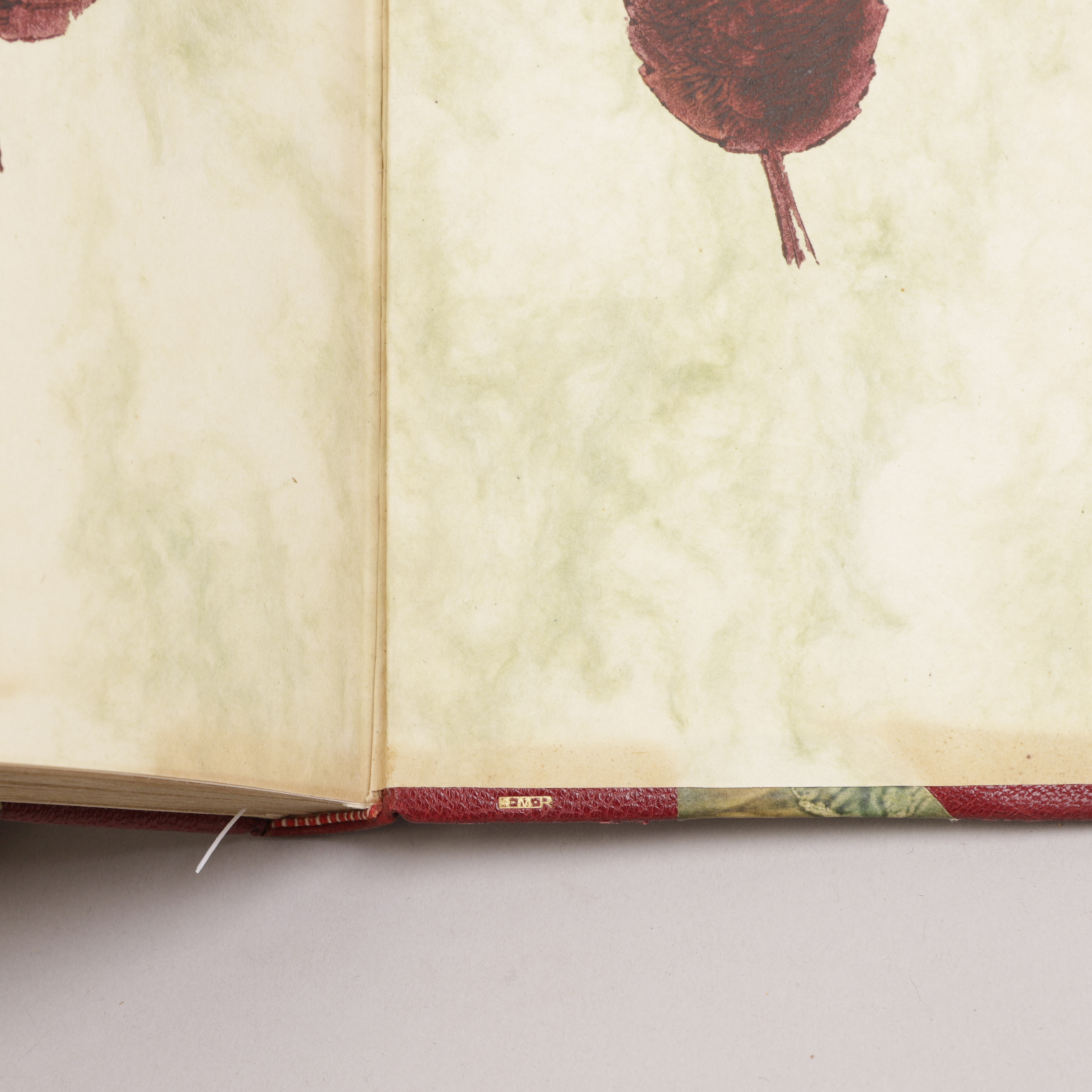 184) NIKOLAI RAMM ØSTGAARD - Bilde 6