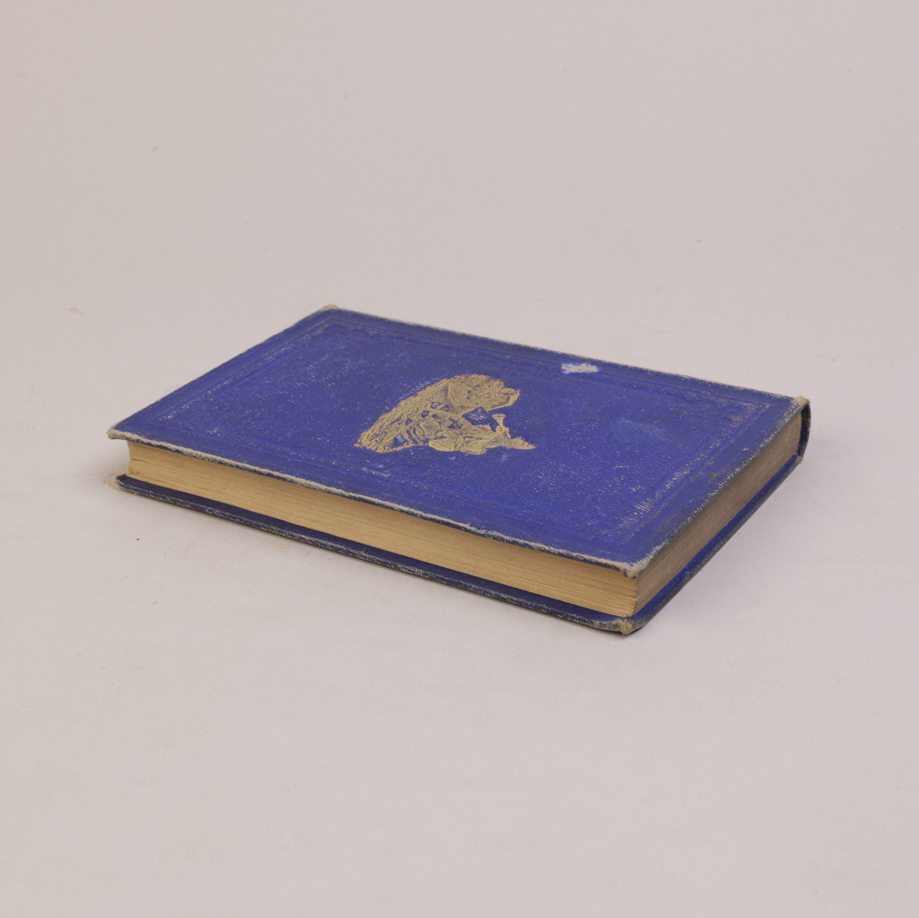 184) NIKOLAI RAMM ØSTGAARD - Bilde 8